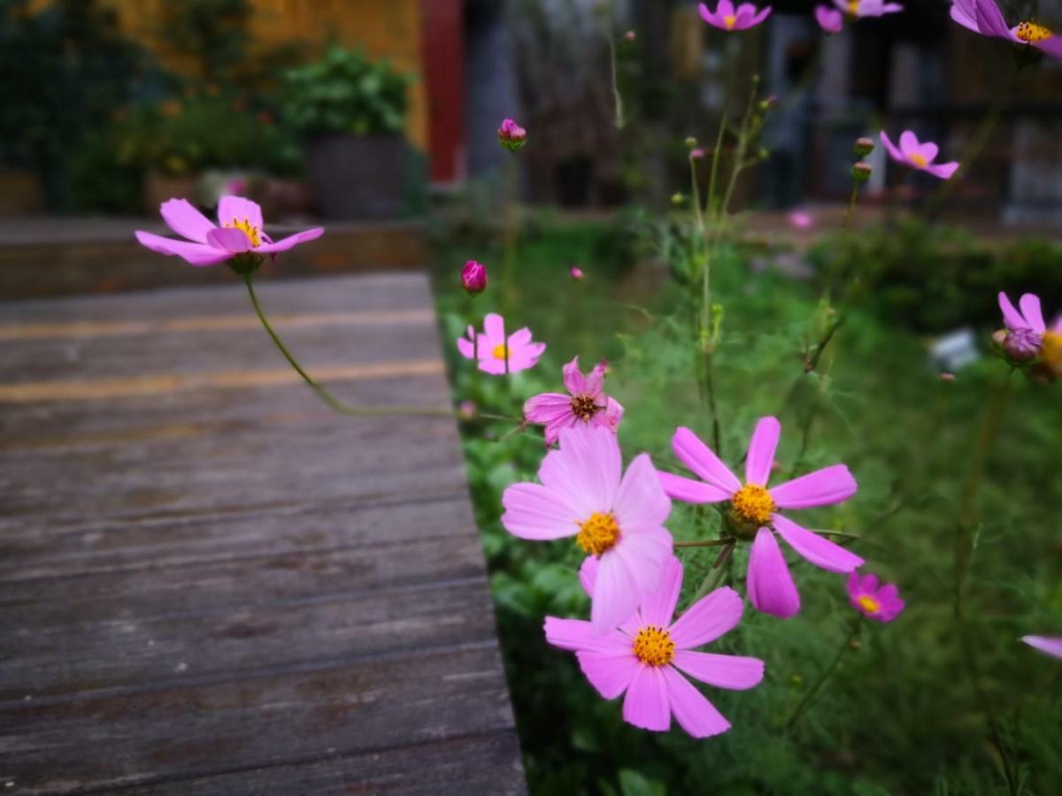 Dao Bian Inn Zhangjiajie Bagian luar foto
