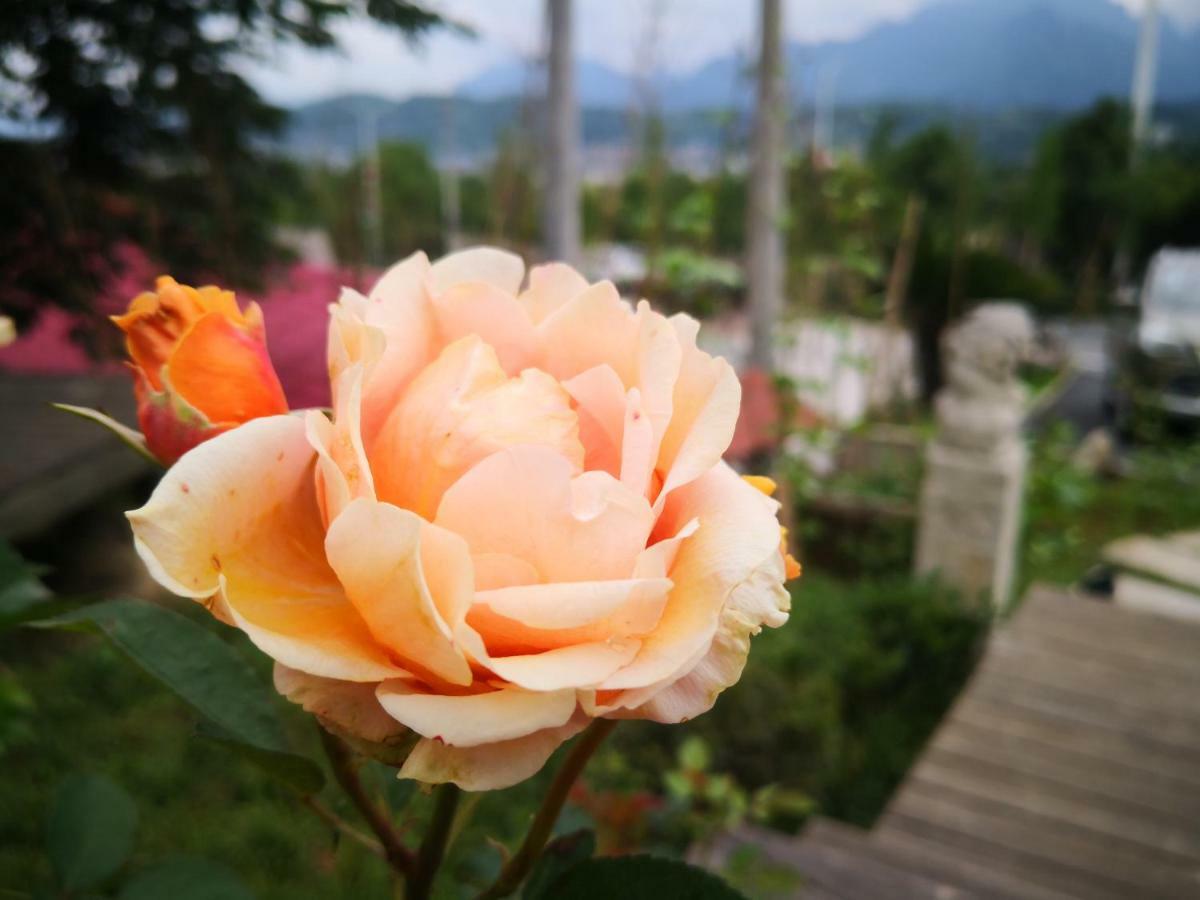 Dao Bian Inn Zhangjiajie Bagian luar foto